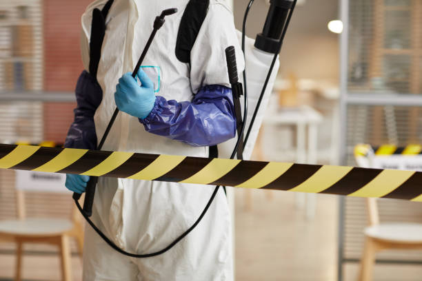 Professional Hoarding Cleanup technician working in Cleveland, FL
